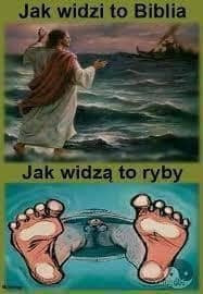 Ihol pohľadu